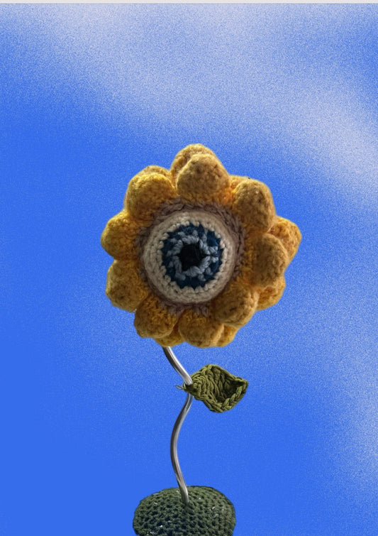 All Seeing Eye Crochet Flower Stand