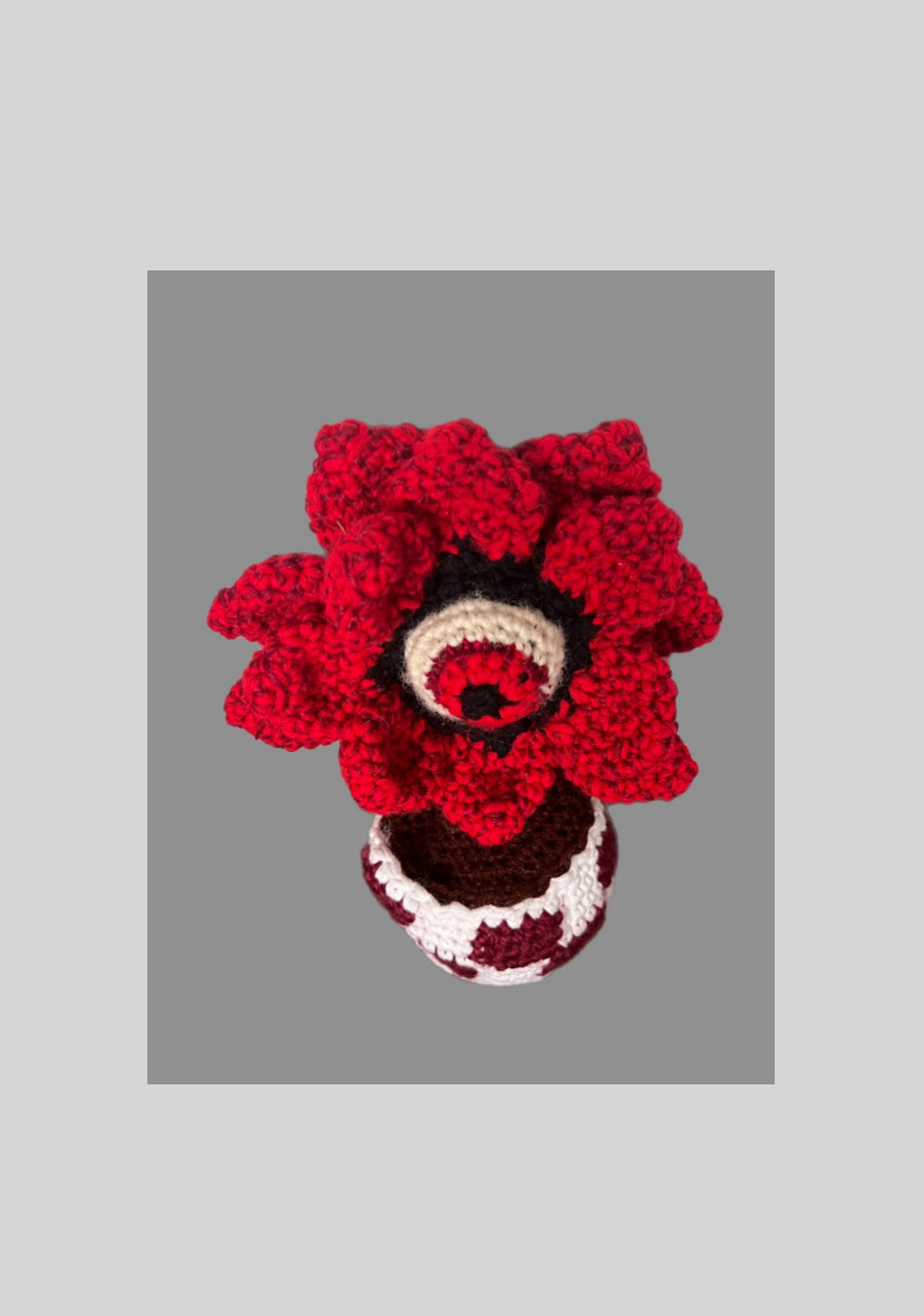 All Seeing Eye Red Crochet Flower