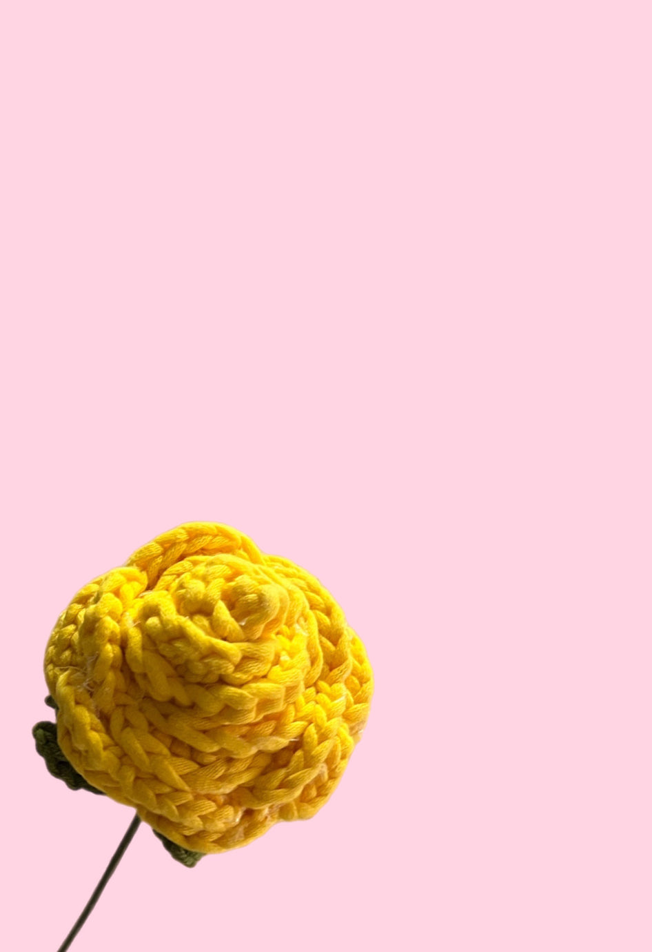 Yellow crochet rose