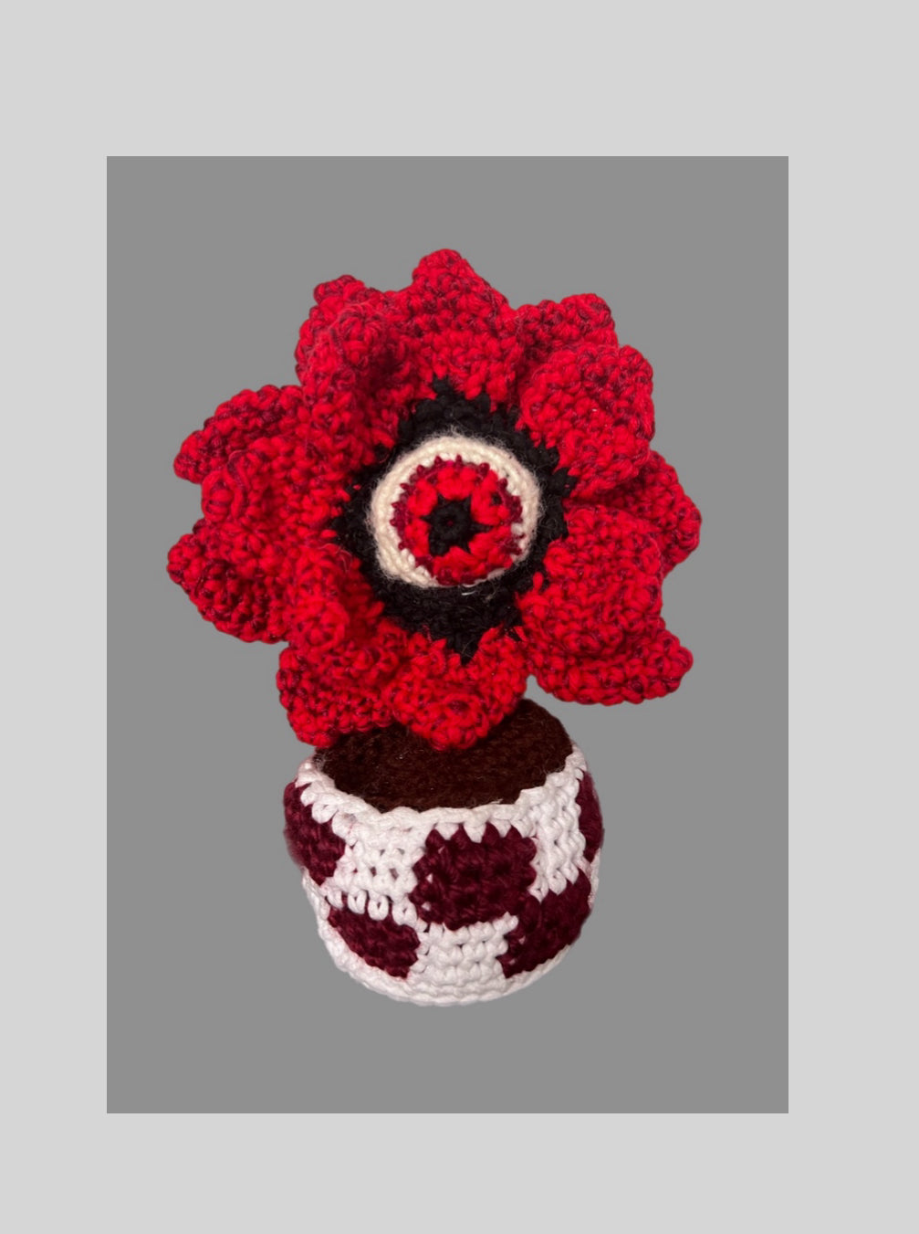 All Seeing Eye Red Crochet Flower